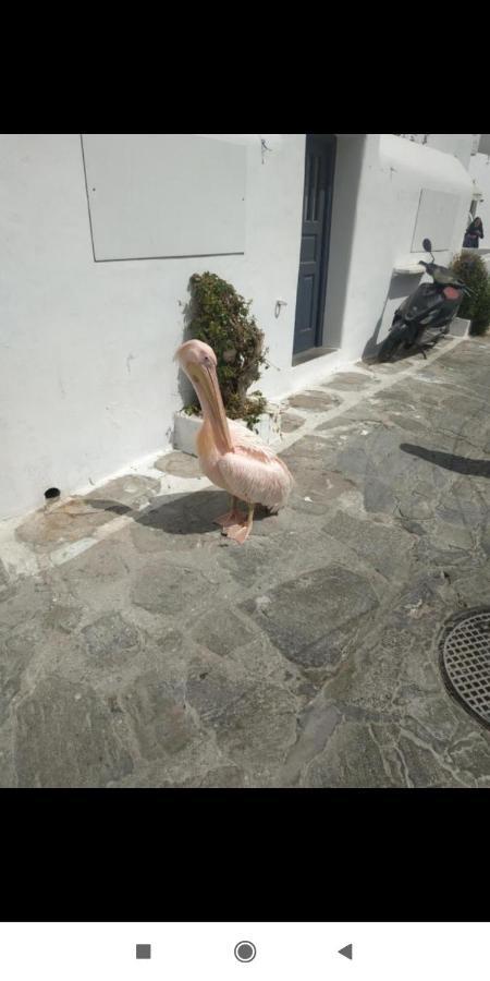 Petra Pelikan Mykonos Town Exterior foto